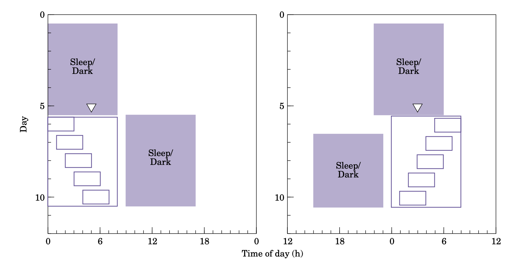 what-do-shift-workers-do-what-might-they-do-arcascope